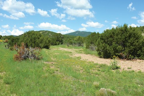 Property photo 34 - 7,320 Acres Offered in 5 Tracts